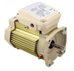 Pentair Whisperflo Square Flange Motor 2HP 354815S