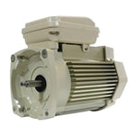 Pentair Almond 354821S Motor