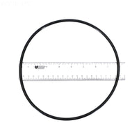 Pentair Pinnacle/SuperFlo Seal Plate O-Ring - 355619Z