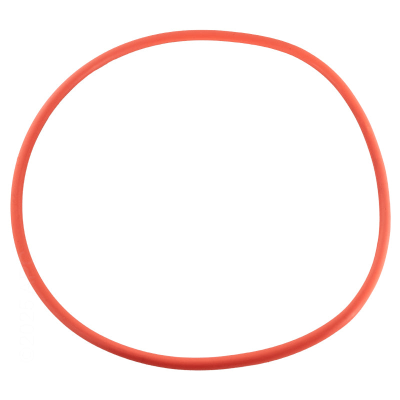 Pentair Seal Plate O-Ring IF3 - 356173Z