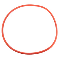 Pentair Seal Plate O-Ring IF3 - 356173Z