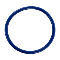 Pentair If3 Diffuser O-Ring 12