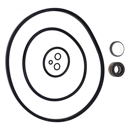 Pentair Seal Set Maxpro/Intelpro EPDM & - 356196