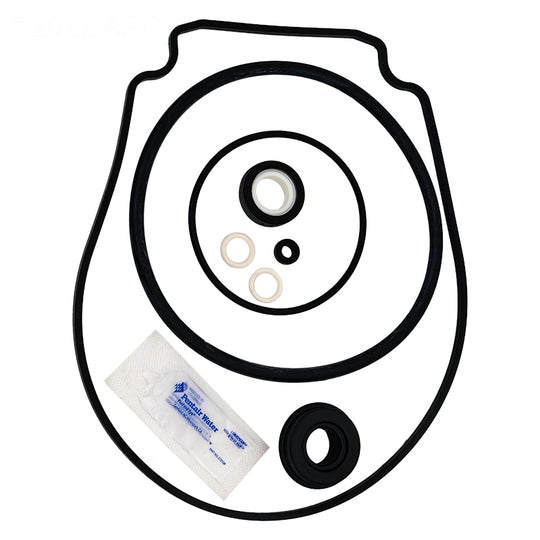 Pentair Variable Speed Pump Seal Set - 356198