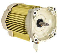 Pentair SuperFlo VST Almond TEFC Motor - 356286S