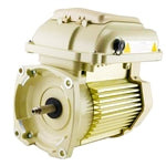 Pentair Superflo VS Pump Motor With Drive - 356289S