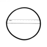 Pentair EQ Series Seal Plate O-Ring - 356780Z