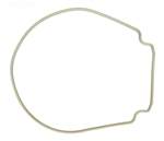Pentair Whisperflo Seal Plate Gasket - Tan - 357102Z