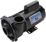 Waterway Executive Spa Pump 3721221-1D