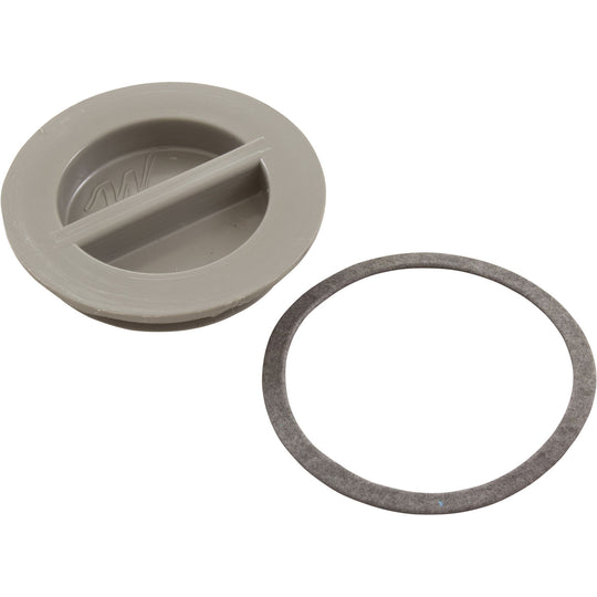 Waterway Flush Plug with Gasket 1.5" Gray Bag - 400-4147B