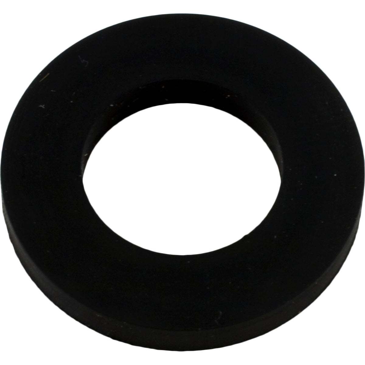Pentair Gasket Saddle 300-29X 1Inod X .550Inid - R172263Z
