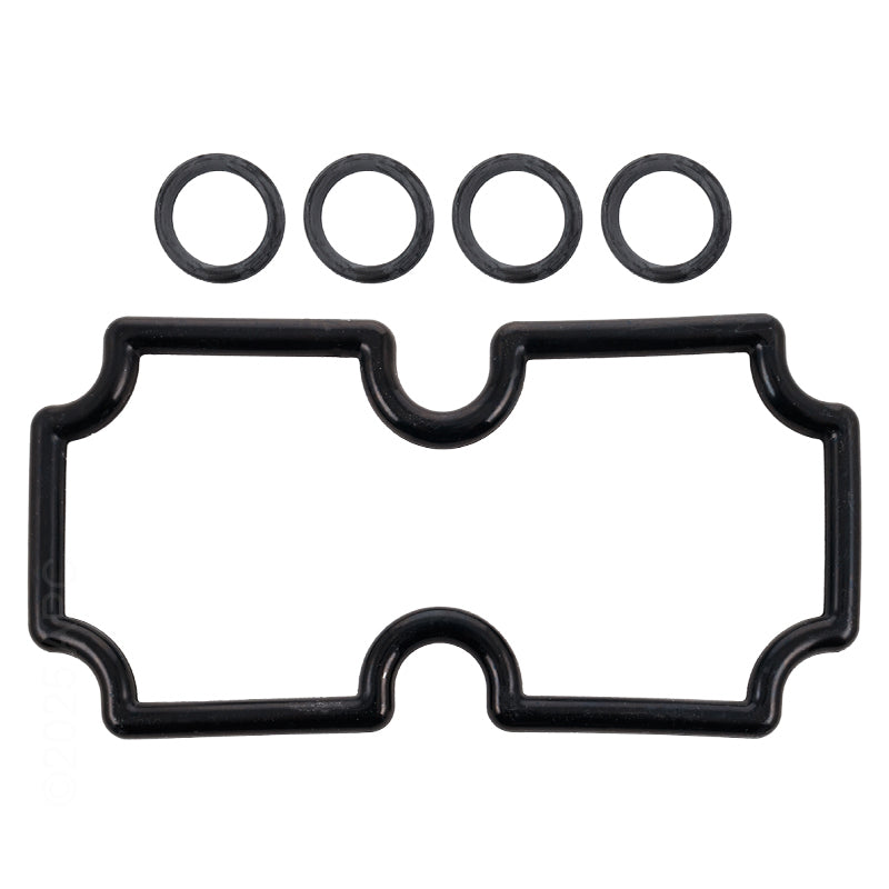 Pentair O-Ring Kit Mt125 - 474973