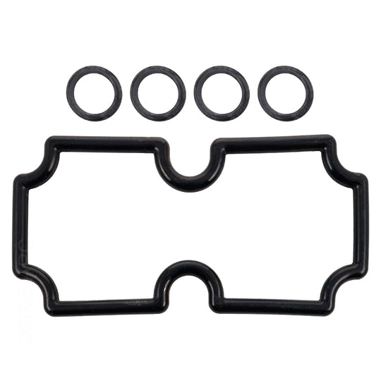 Pentair O-Ring Kit Mt125 - 474973