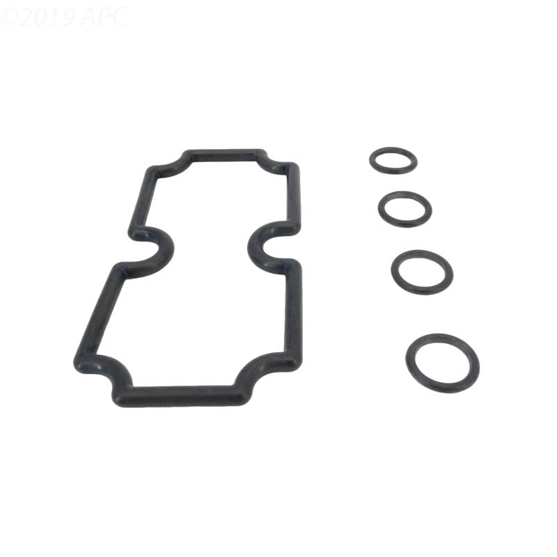 Pentair O-Ring Kit Mt125 - 474973