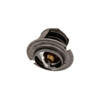 Pentair MasterTemp 125 Thermal Regulator - 474989
