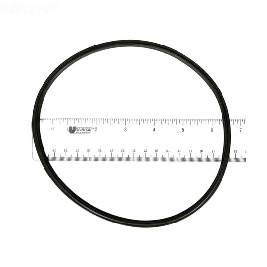Pentair Quad Ring for Valve Lid - 51001000