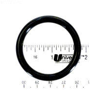 Pentair Water Pool and Spa Inc O-Ring Drain Cap - 51005000Z