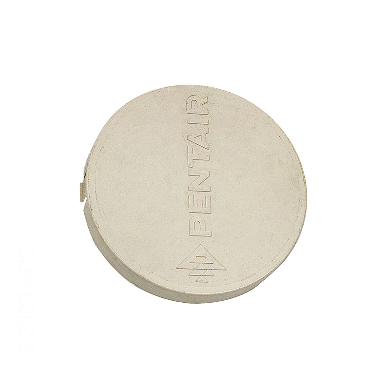 Pentair Water Pool and Spa Inc White Pentair Logo Disk - 510161