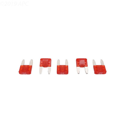 Pentair Water Pool and Spa Inc Power Center Fuse 5PK 10A Intellichlor - 522745
