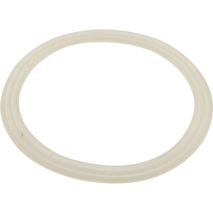 Waterway Gasket powerstorm flat - 711-6608