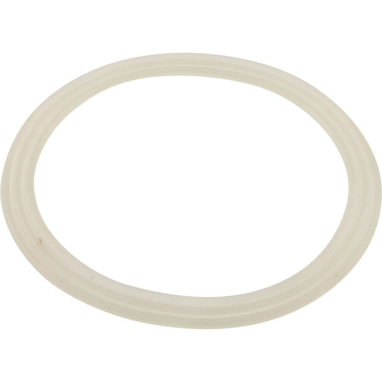 Waterway Gasket powerstorm flat - 711-6608