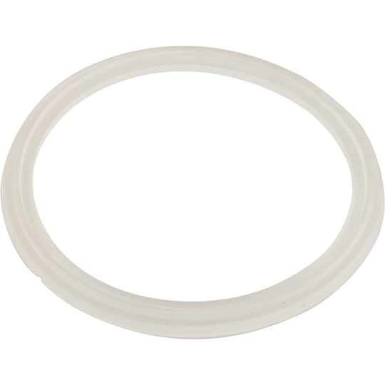 Waterway Mini Storm Jet Body Gasket - 711-6910