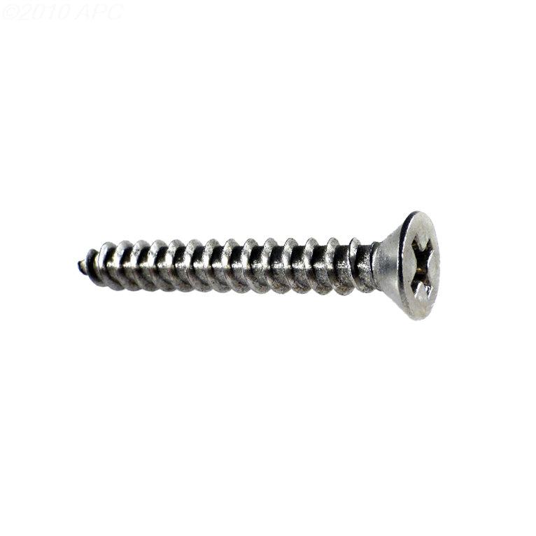 Pentair Screw, (#8 X 1-1/4 In. ) - 552539