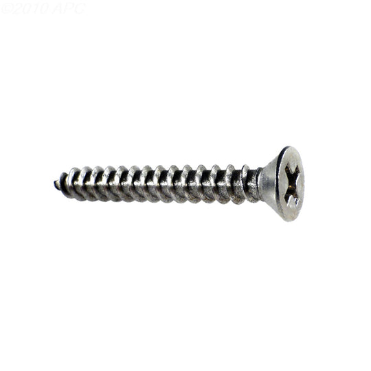 Pentair Screw, (#8 X 1-1/4 In. ) - 552539