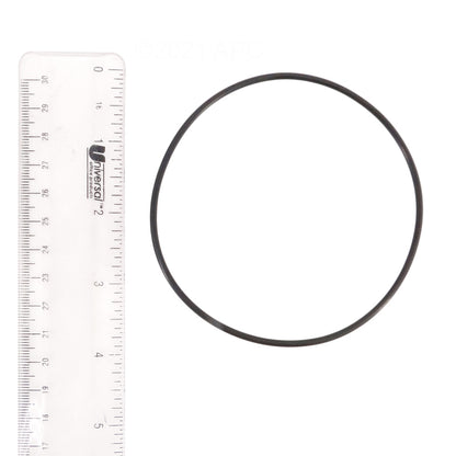 Pentair ColorVision O-Ring Kit - 590118Z