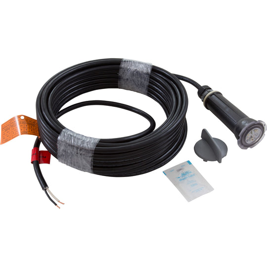 Pentair GloBrite Color Changing LED Light 12V 15W 50' Cord - 602054