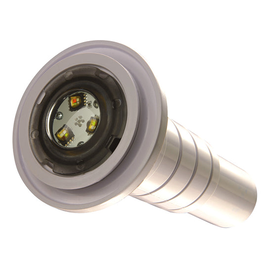 Pentair GloBrite 2 Led Combo Kit 100 FT. Cord - 619994