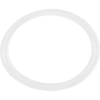 Waterway Flat Gasket, 1" Diverter Valvenull - 711-4310