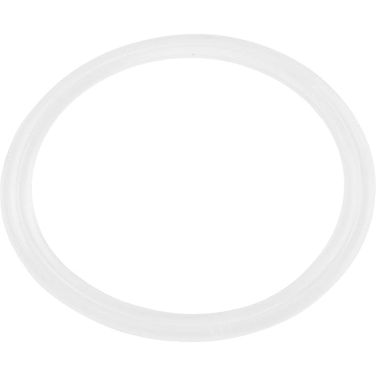 Waterway Flat Gasket, 1" Diverter Valvenull - 711-4310