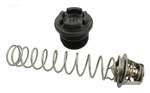 Pentair Thermal Regulator Kit - 77707-0010