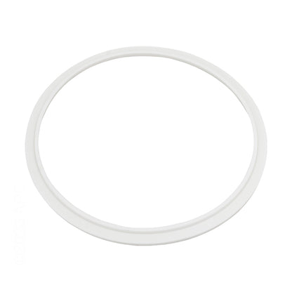 Pentair 78880200 Silicone Lens Seal for AquaLumin® and AquaLumin® II Lights