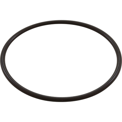Waterway O-Ring 6" Trap Lid Bag - 805-0436B