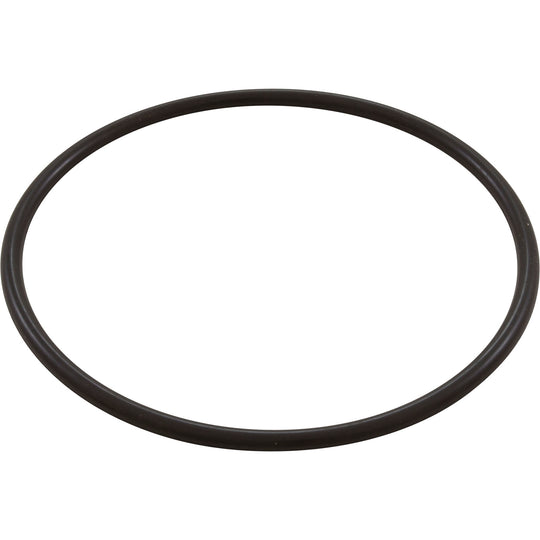 Waterway O-Ring 6" Trap Lid Bag - 805-0436B