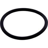 Polaris O-Ring WMS Upper to Vactube Interface - R0544000