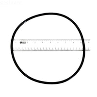 Pentair Clean & Clear/Posi-Clear/Predator Tank O-Ring - 87300400Z