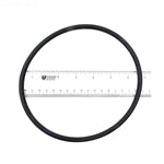 Val-Pak Trap Cover O-Ring 6" 92200010S