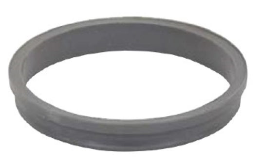 Pentair Water Pool and Spa Inc Color Ring Lt Gray G4/G4V/G4VHP - 232402Z