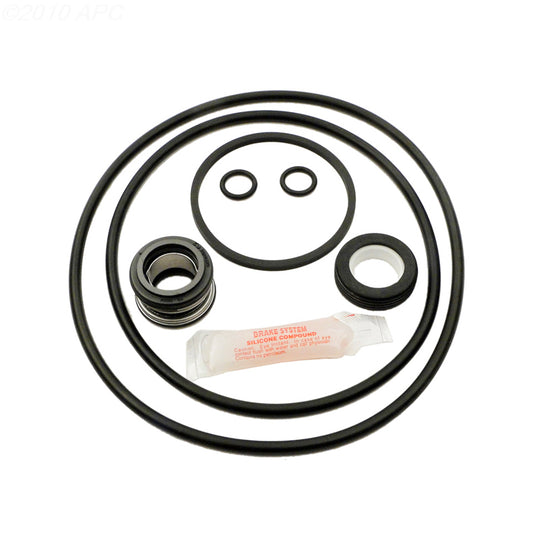 Aladdin Jacuzzi Magnum Pump Seal Kit - APCK1007
