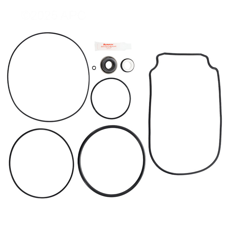 Whisperflo Intelliflo Pump Seal Kit