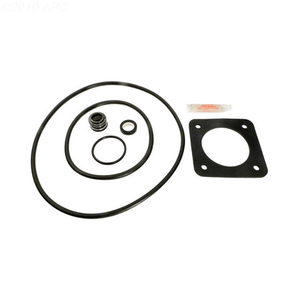 Sta-Rite DuraGlass MaxeGlass Pump Seal Kit P2DR - APCK1057