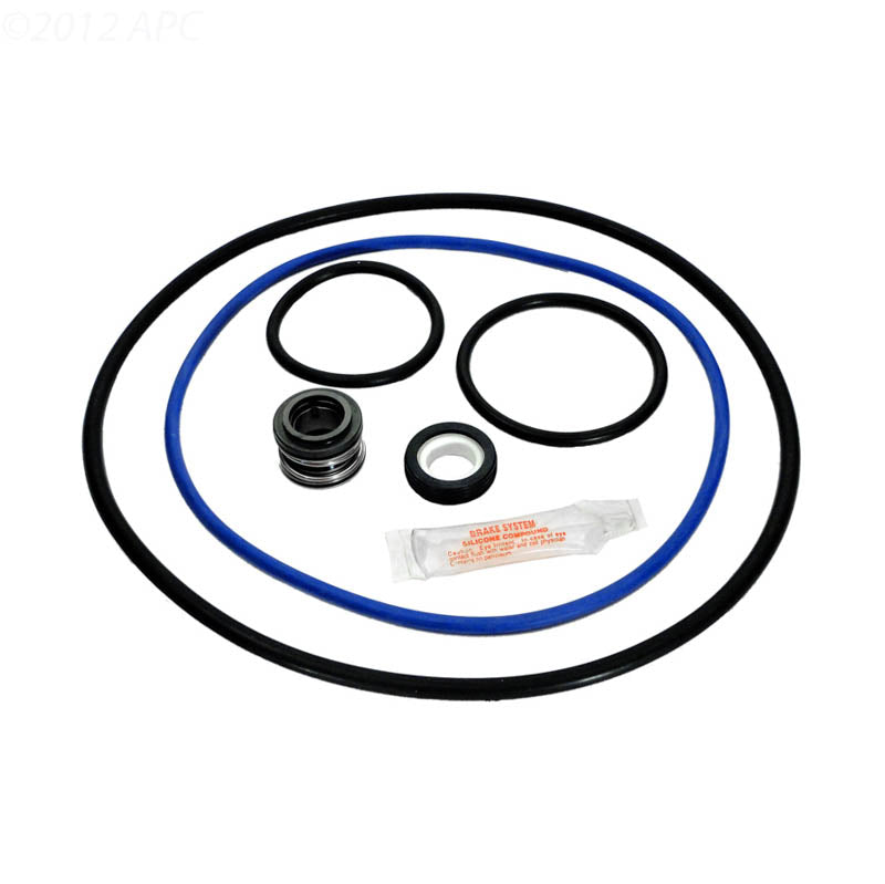 Hayward Northstar Pump Seal Kit Series SP3400 - SP3400X - APCK1064