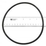 Hayward CX900F O-Ring