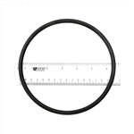 Val-Pak Pinnacle & Challenger Pump Lid O-Ring  V36-191S