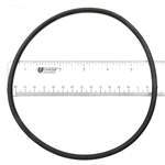 Hayward CX120D O-Ring
