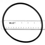 Hayward W560 and W530 Replacement Oring - AXW542