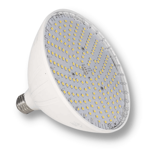 Blue Square Vivid LED Pool Bulb-Wt 120V White 35W - VLB3501-WT